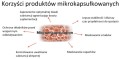 Witamina C 500 mg, micoractive 12h - 100 kapsułek Vege  -   ALINESS.jpg
