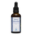 Holistic Adrenalow nadnercza kortyzol - HOLISTIC.jpg