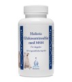 Glukosaminsulfat med MSM - Mieszanka paszowa uzupełniająca siarczan glukozaminy MSM (metylsulfonylmetan) - HOLISTIC.jpg