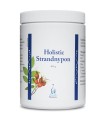 Strandnypon 400g - 100 procent owoców dzikiej róży, naturalna witamina C - HOLISTIC.jpg