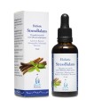 StressBalans 50 ml - Adaptogeny na stres lukrecja, witania, cytryniec, różeniec - HOLISTIC.jpg