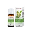 Olejek z drzewa herbacianego 10 ml - Olejek eteryczny LabioSkin - BIOOIL.jpg