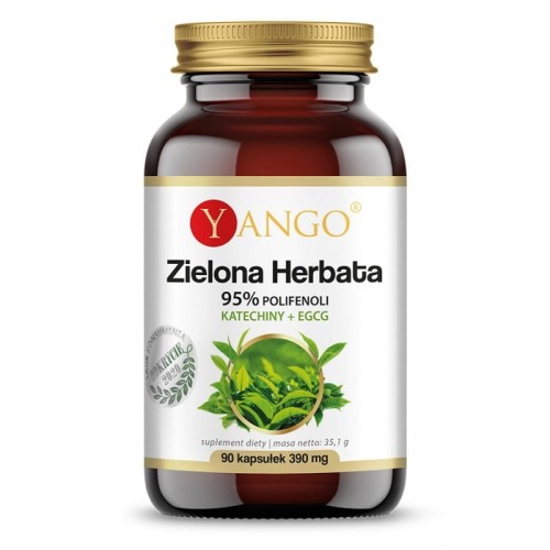Zielona herbata, 95% polifenoli - Katechiny + EGCG 90 kapsułek - Na prawidłowy poziom cholesterolu we krwi - YANGO.jpg