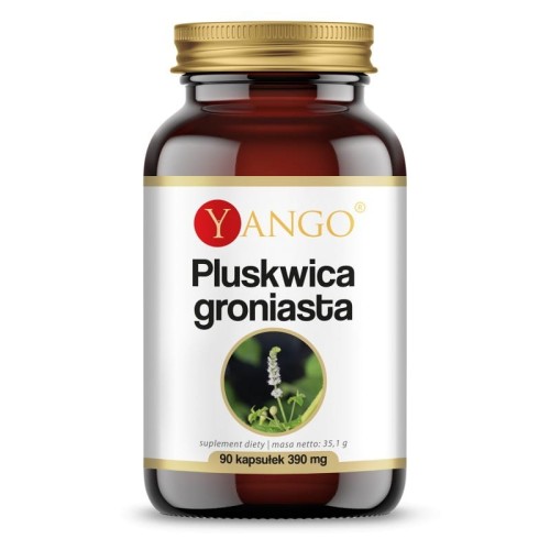 Pluskwica groniasta ekstrakt 90 kapsułek - Wsparcie układu limfatycznego - YANGO.jpg