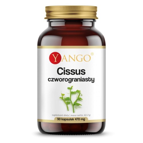 Cissus czworogroniasty 90 kapsułek - Wsparcie w kontroli masy ciała - YANGO.jpg