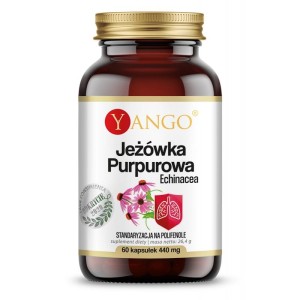 Jeżówka Purpurowa Echinacea - Wzmocnienie układu odpornościowego - YANGO (NM)