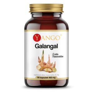 Galangal 90 kapsułek - Źródło flawonoidów - YANGO