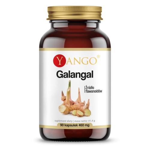 Galangal 90 kapsułek - Źródło flawonoidów - YANGO.jpg