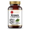Krzem ze skrzypu polnego - krzemionka Equisetum arvense - YANGO (NM).jpg