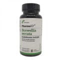 boswellia-serrata-90-kaps-kadzidlowiec-indyjski-65-kwasu-bosweliowego-.jpg