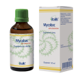 mycobac-glyc-pl-kopie.png