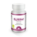 b12 active.jpg