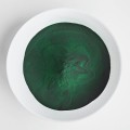 Ekologiczna chlorella - Źródło żelaza oraz aminokwasów  -  Foods by Ann.jpg