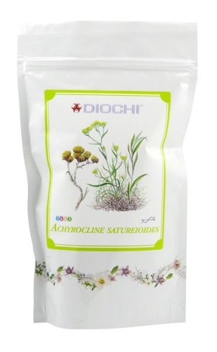 Achyrocline satureioides.jpg