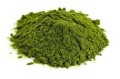 Chlorella.jpg