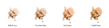 Pressed Powder - kolory.png