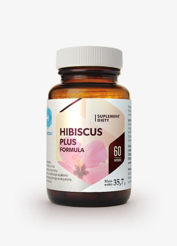 hibiskus_net1.jpg