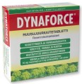 Dynaforce.jpg
